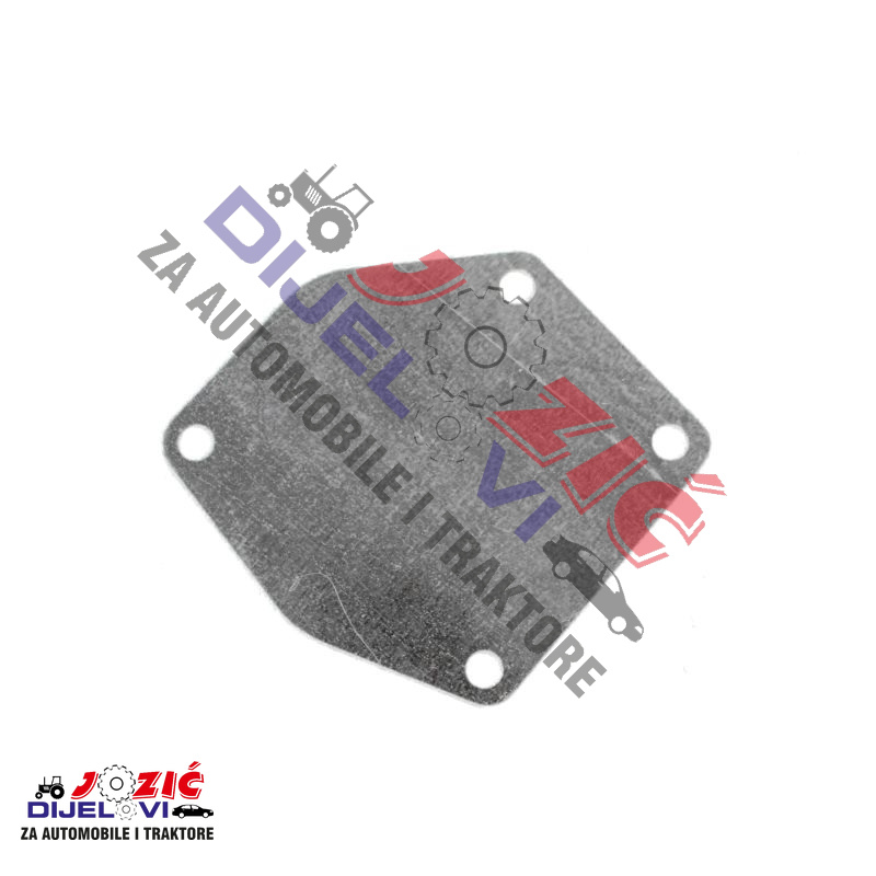 Daisy on the Ohoopee